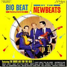 A yellow and black cover of the album big beat sounds by the newbeats